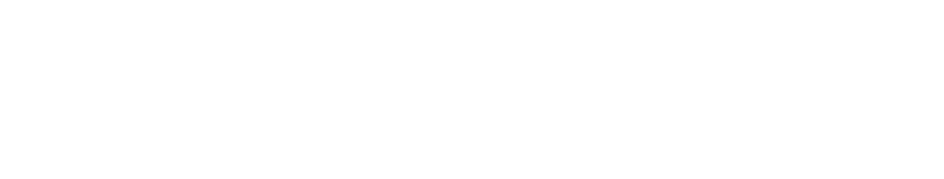 Envidia Logo