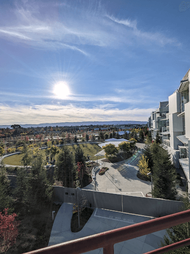 View of the Bay from Meta Campus