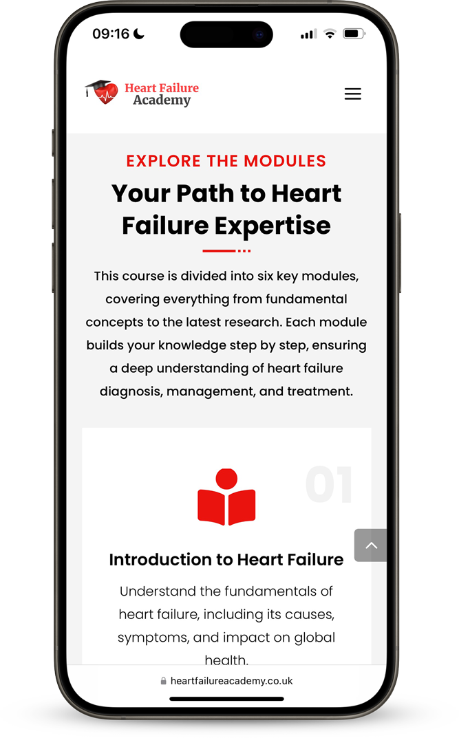 phone showing the online course