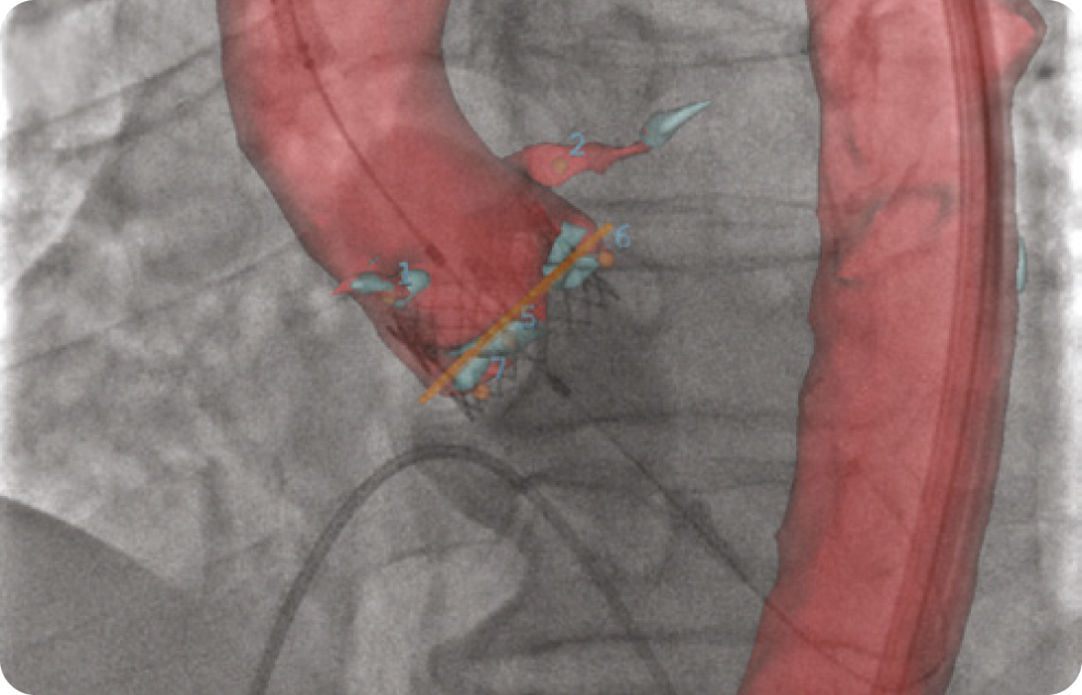 Medical image