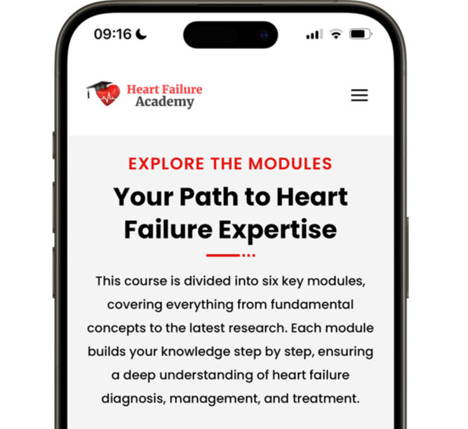 phone showing the online course