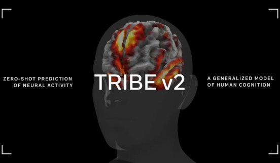 New Research: TRIBE v2 Foundation Model