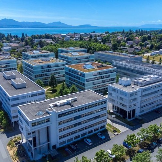 From Candidate to Clinic: How Smart Startups De-risk Their Molecules and Accelerate Clinical Entry