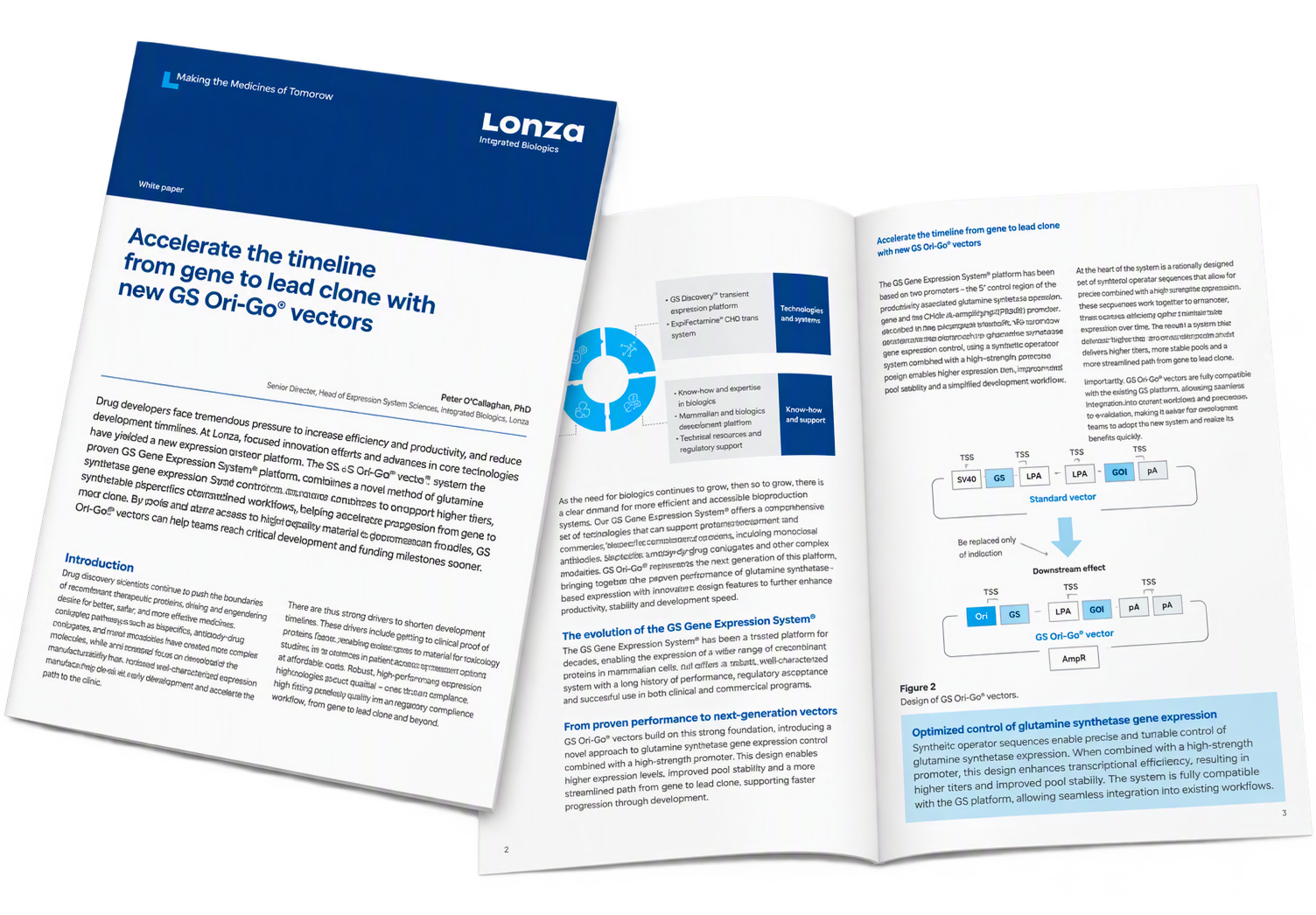 Accelerate the Timeline from Gene to Lead Clone with New GS Ori-Go® Vectors