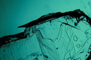 原薬形態スクリーニングと迅速な処方選択でタイムラインを加速する