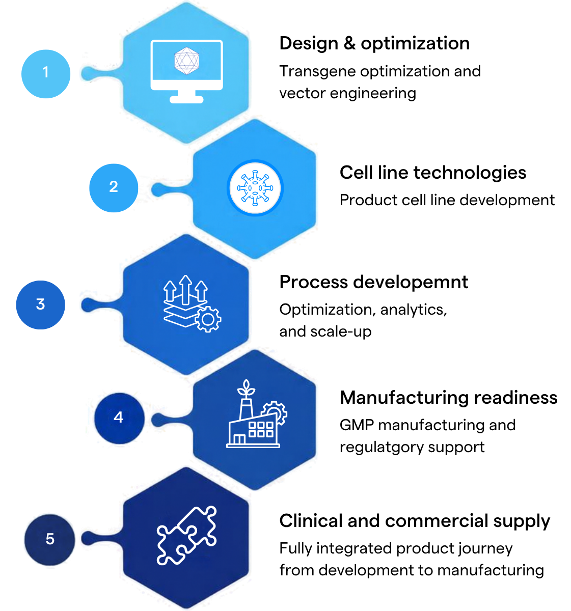 Five-stage biopharmaceutical development pathway from transgene design through clinical and commercial supply.