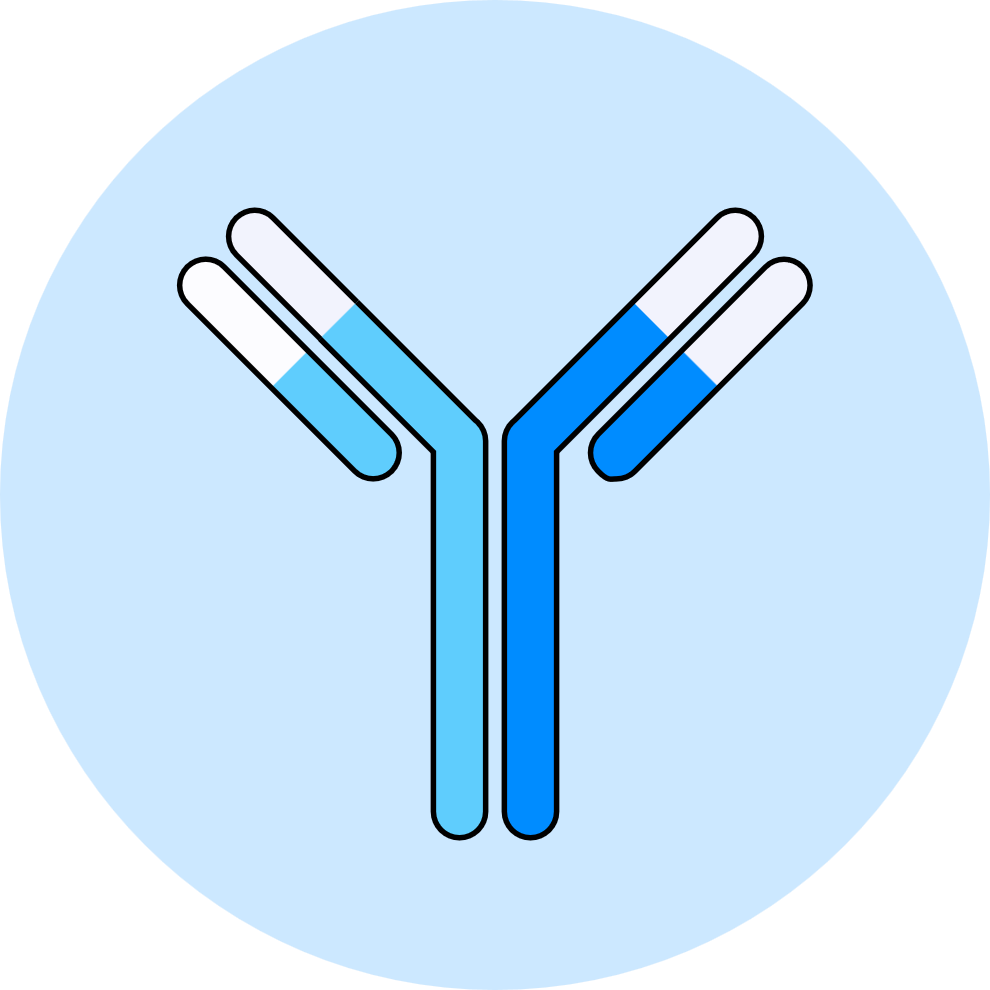 IND-enabling development and manufacturing