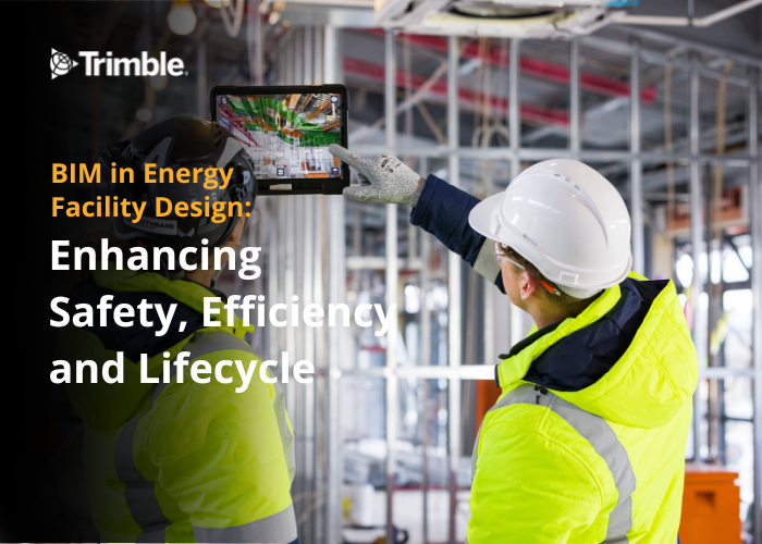 BIM for the Oil & Gas sector