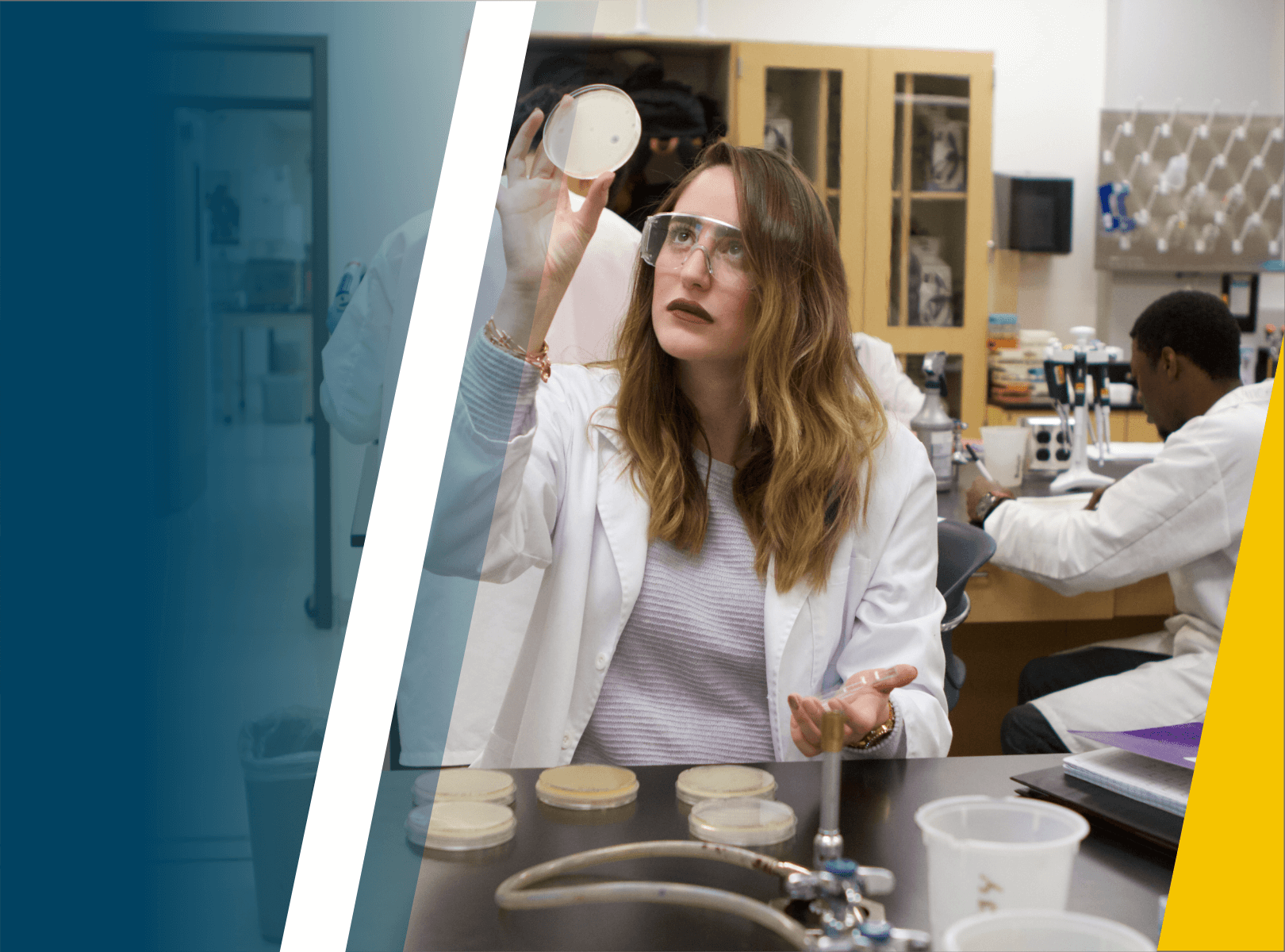 Student looking at a petri dish.