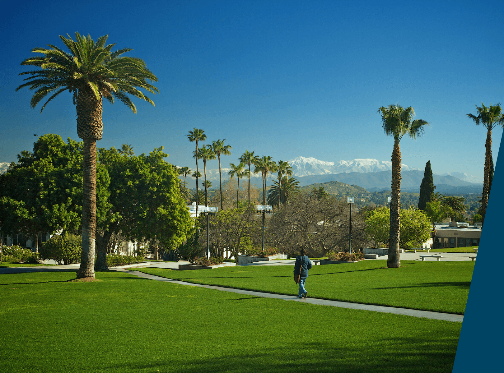 Student walking on campus with palm trees in the background.