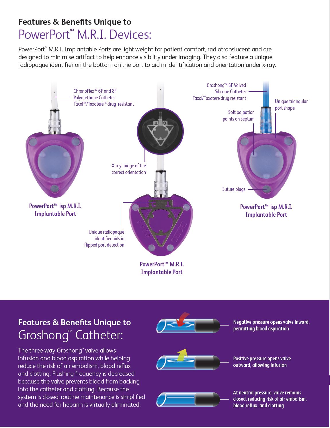 BD PowerPort™ brochure