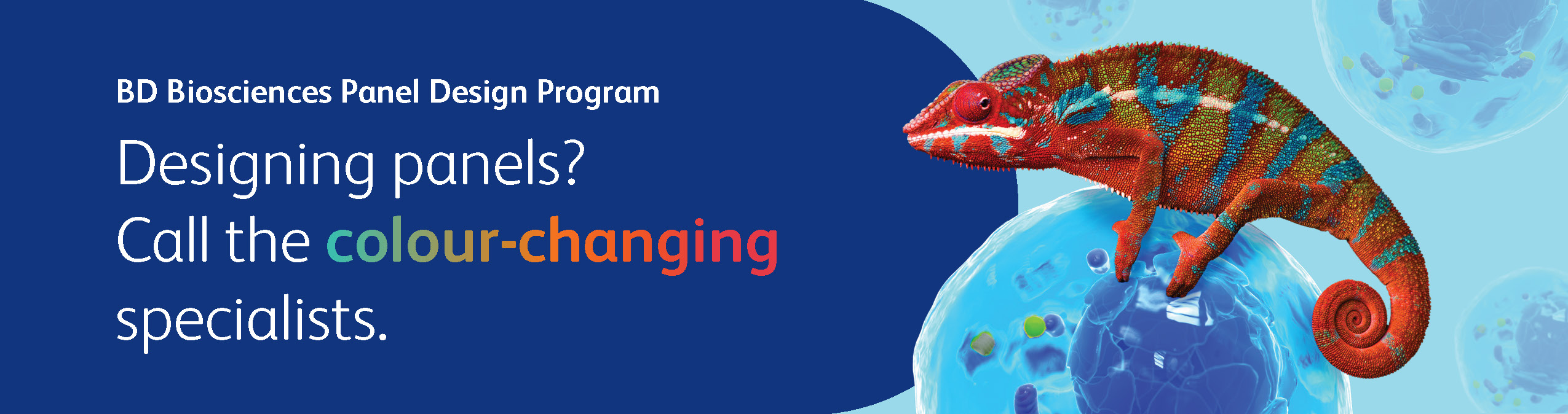 BD Panel Design Program