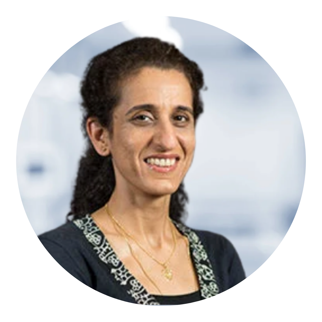 Dr Bruno Paiva Headshot