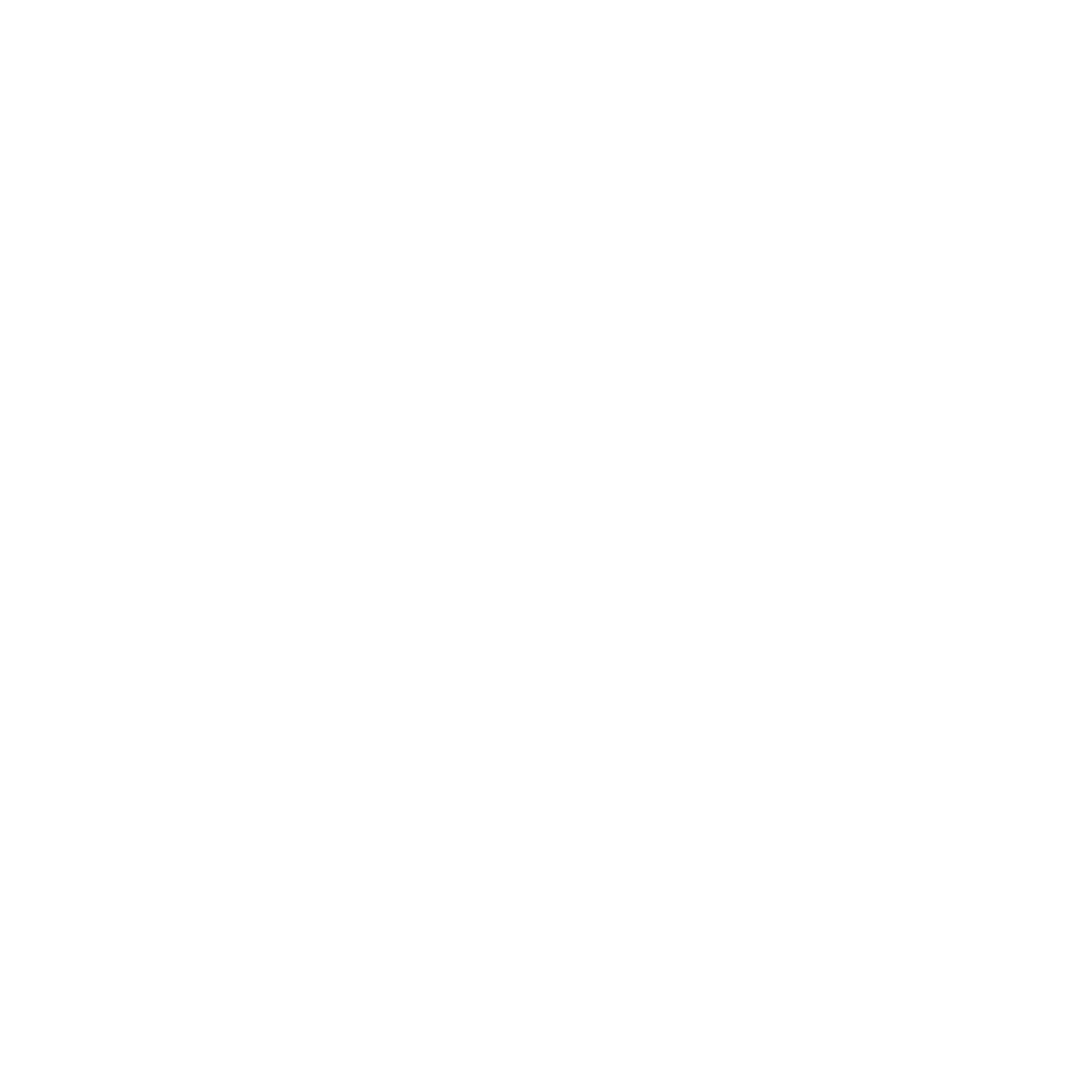 Expert Guidance Icon