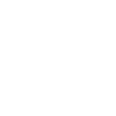 Tailored Solution Icon