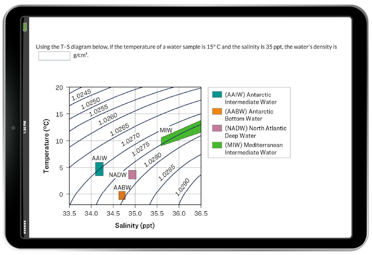 Smarkwork online homework example