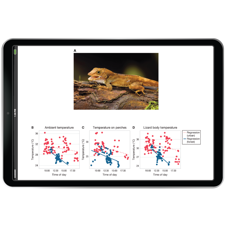 Heat islands figure in iPad