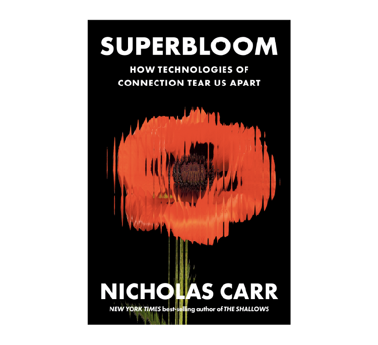 Superbloom book cover