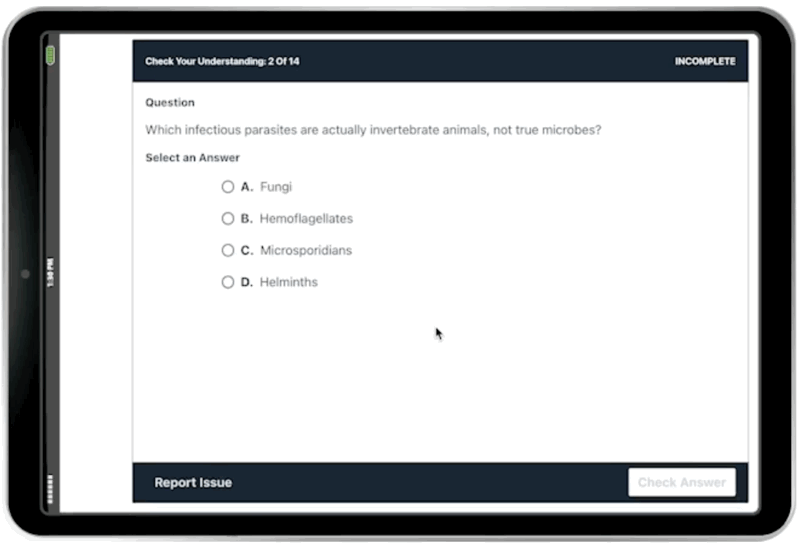 Check Your Understanding animation in iPad