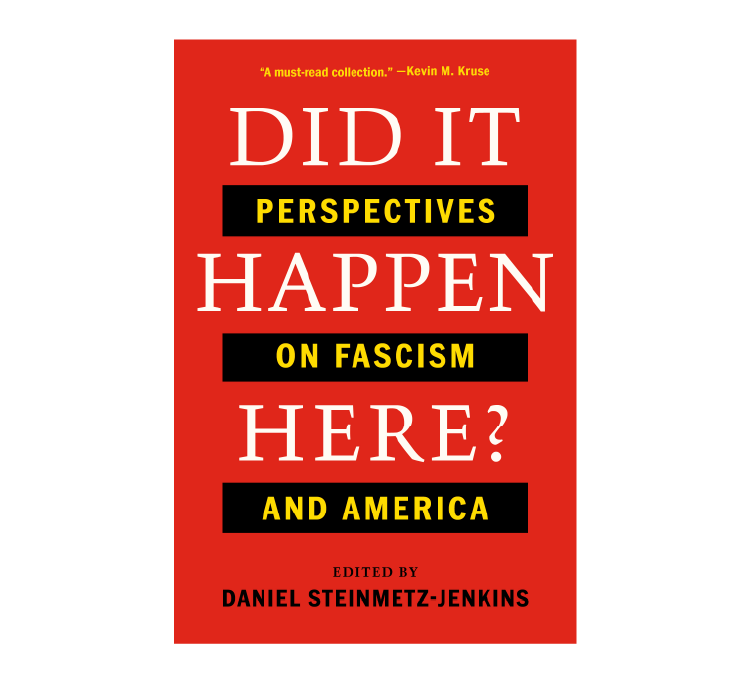 Did It Happen Here? book cover