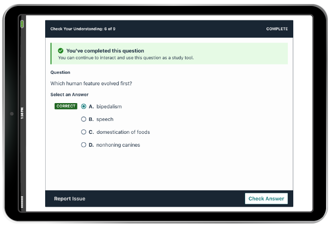 Check Your Understanding in iPad