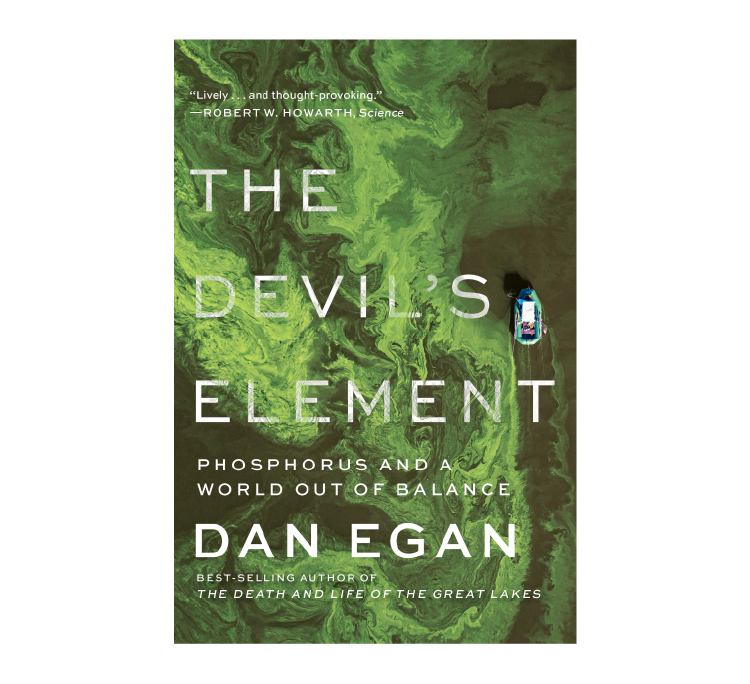 The Devil's Element book cover