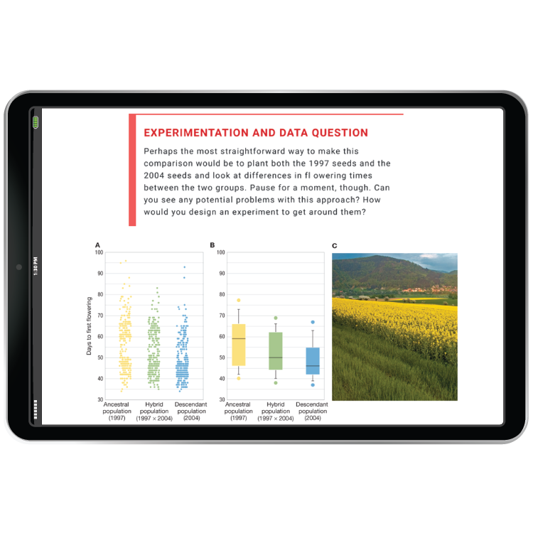 Data literacy example in iPad