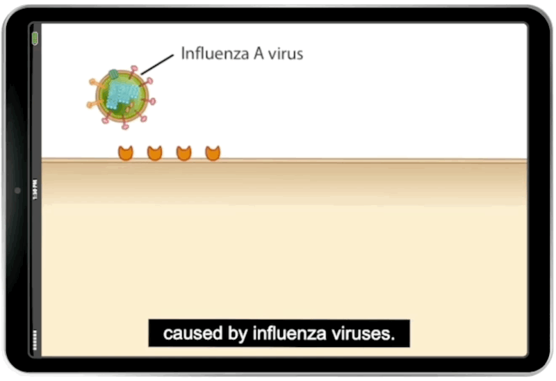 Ebook animation gif in iPad