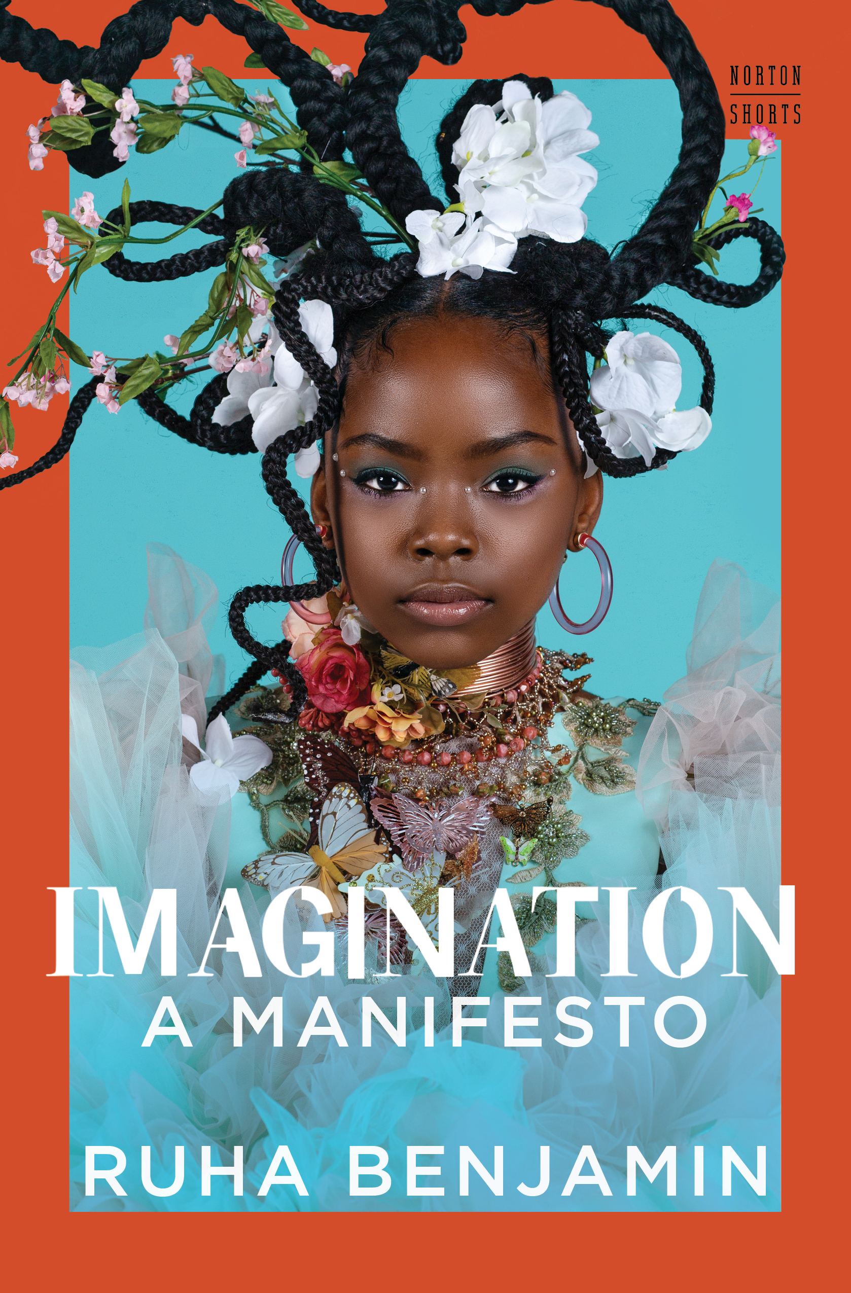 Imagination book cover