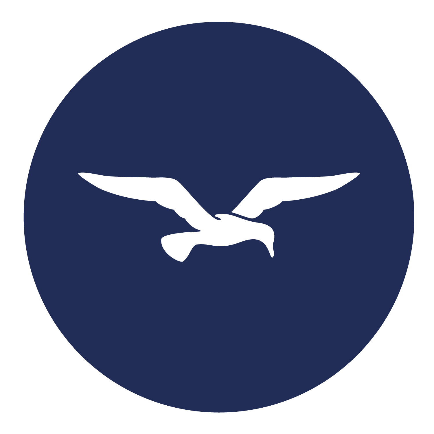 Seagull icon