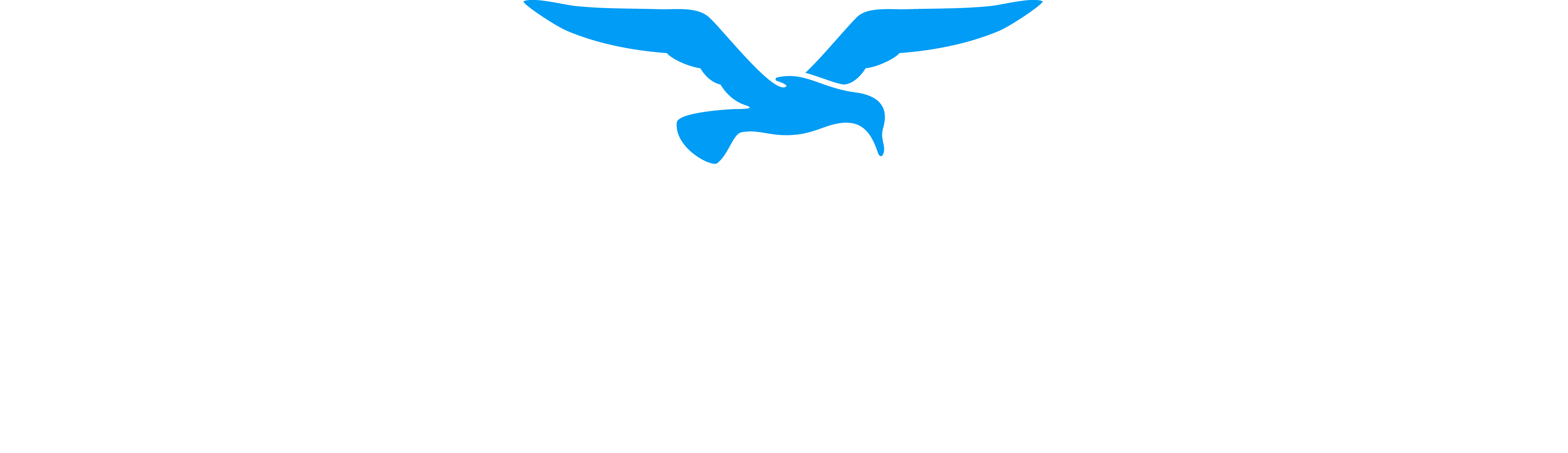 Seagull logo