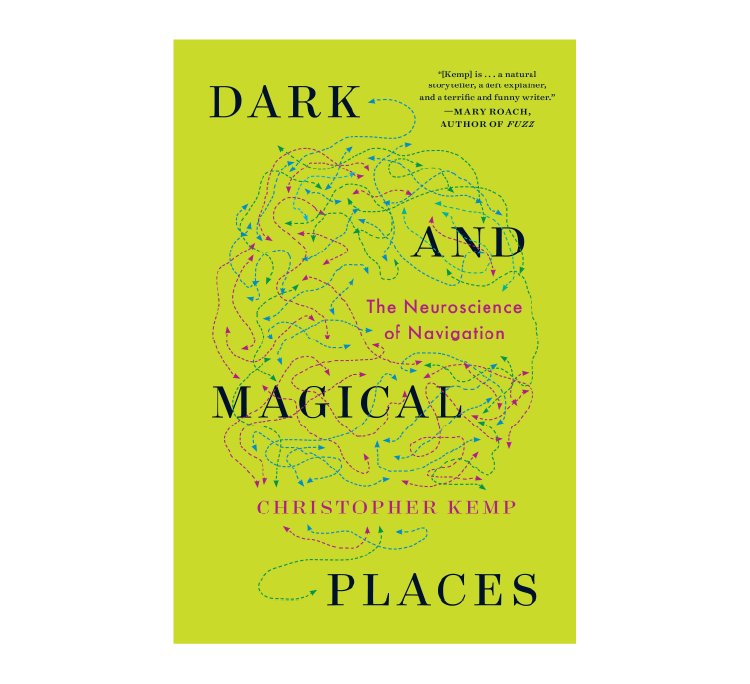 Learn more and purchase Dark and Magical Places
