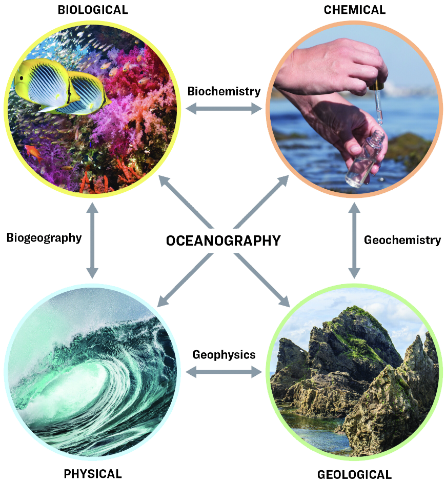 Relationship between oceanography and other sections of science graph