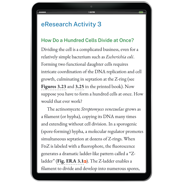 eResearch activity example in iPad