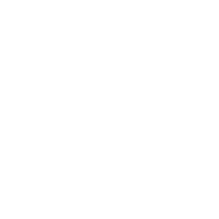 Icon of a person presenting to an audience.