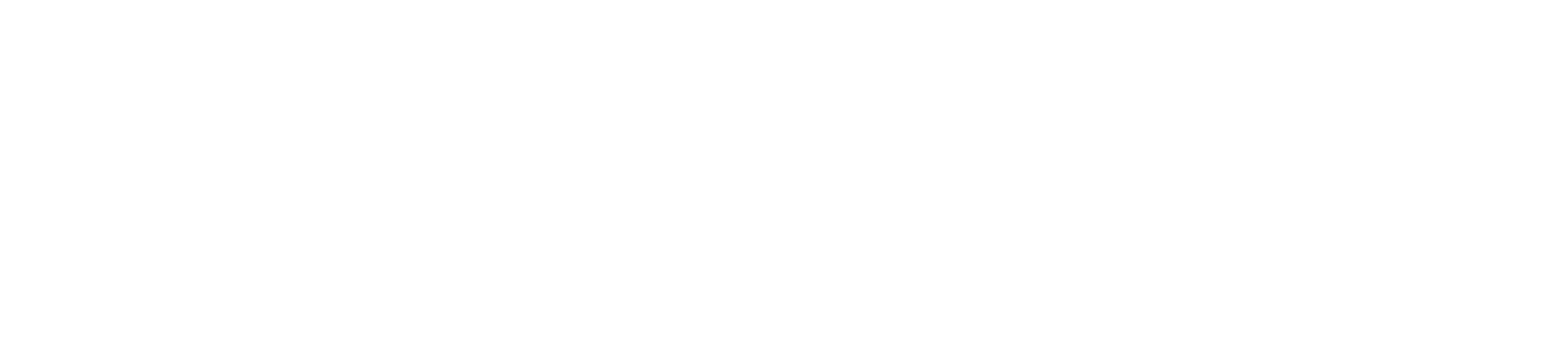 Transparency Logo