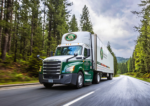 An OD semi-truck drives down a road lined with tall evergreen trees under a cloudy sky.