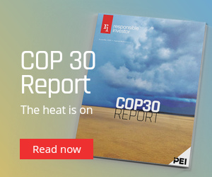 Cop 30 Report - The heat is on