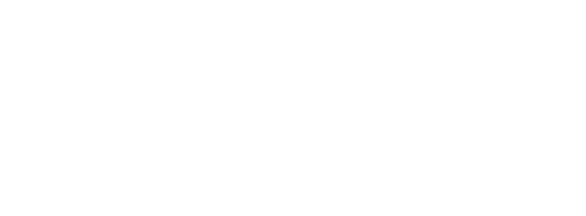 New Private Markets logo