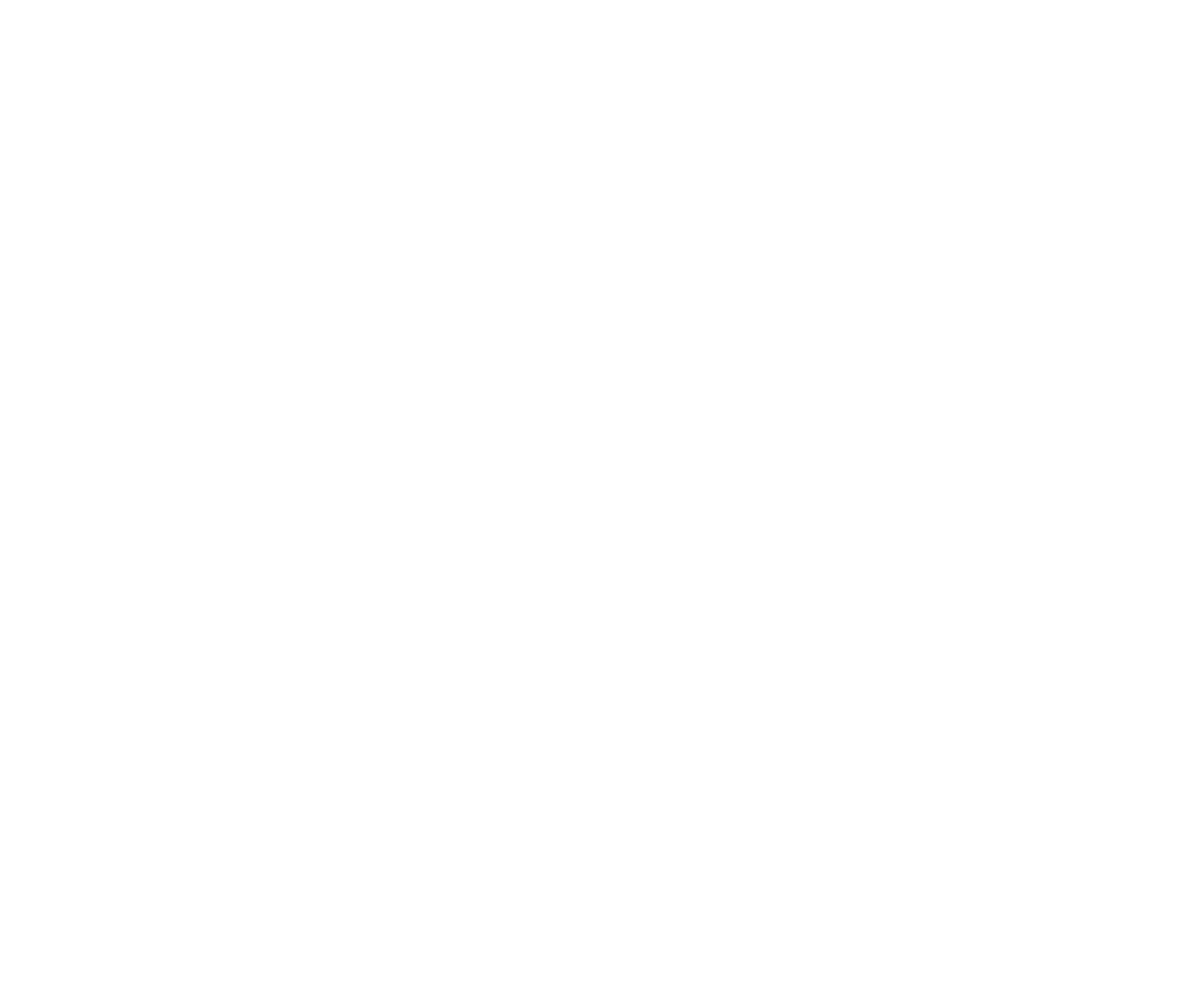 New Private Markets logo