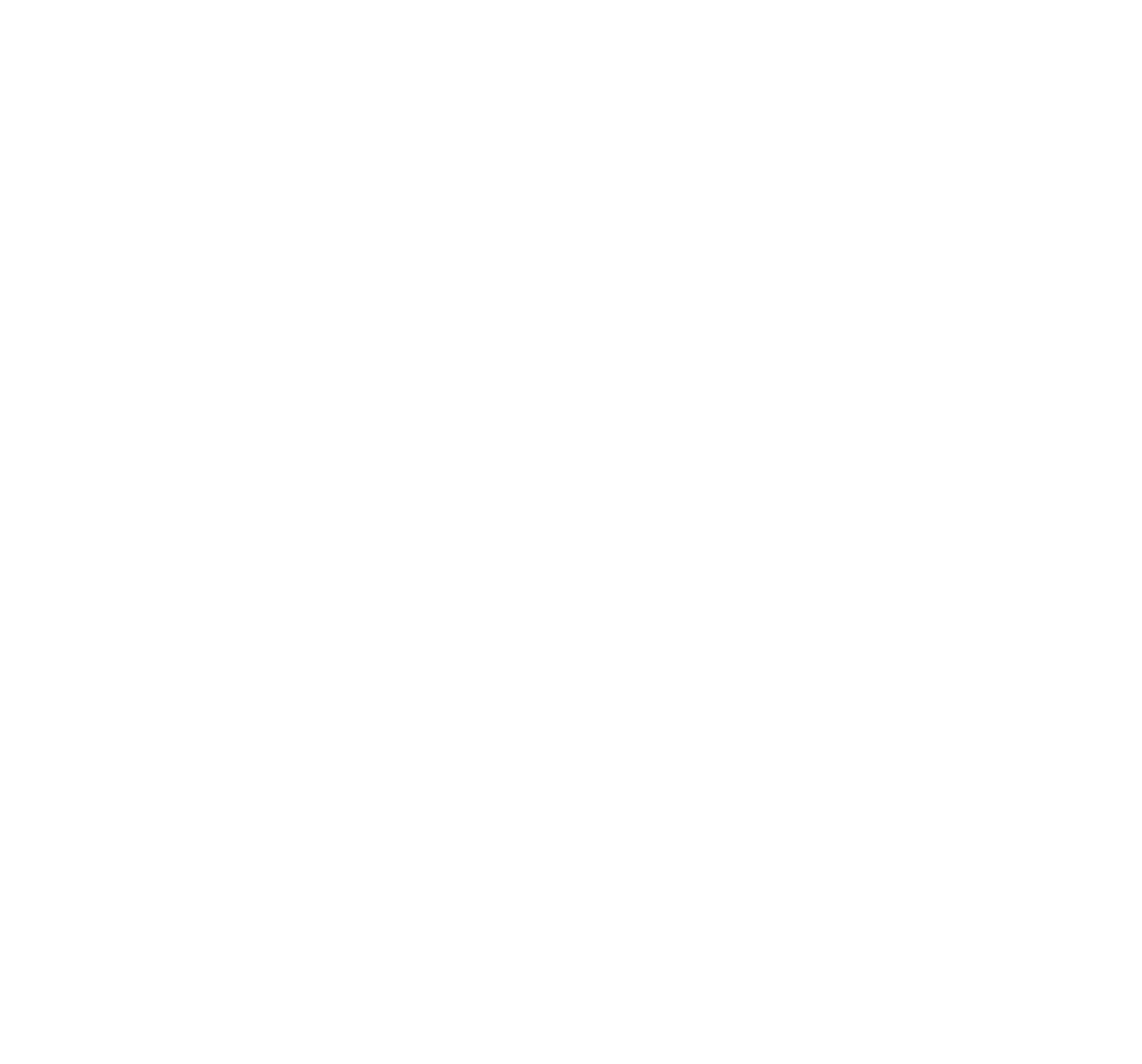 New Private Markets logo