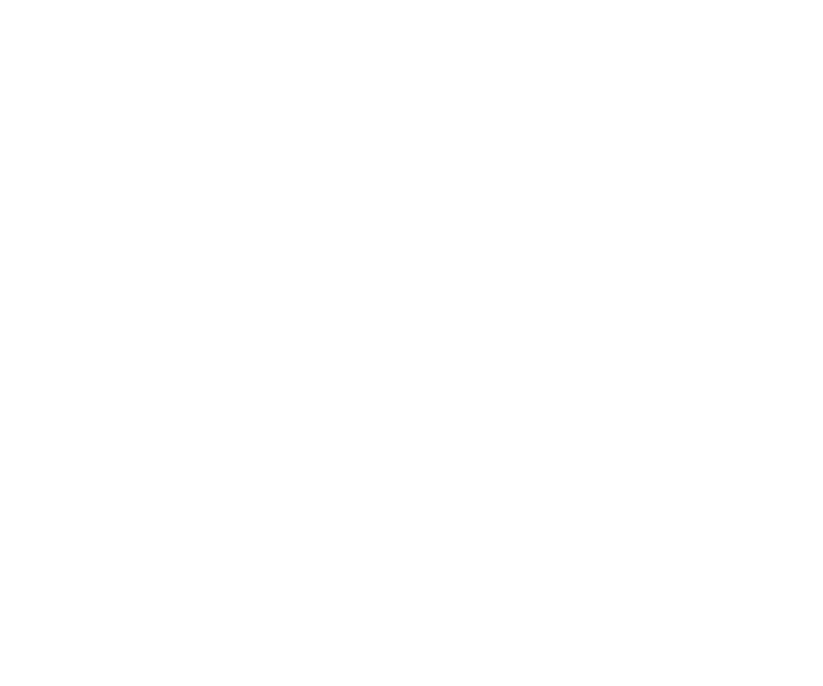 New Private Markets logo