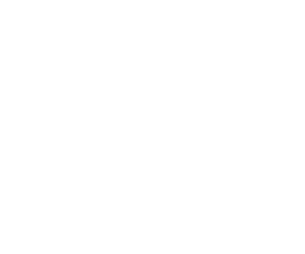 New Private Markets logo