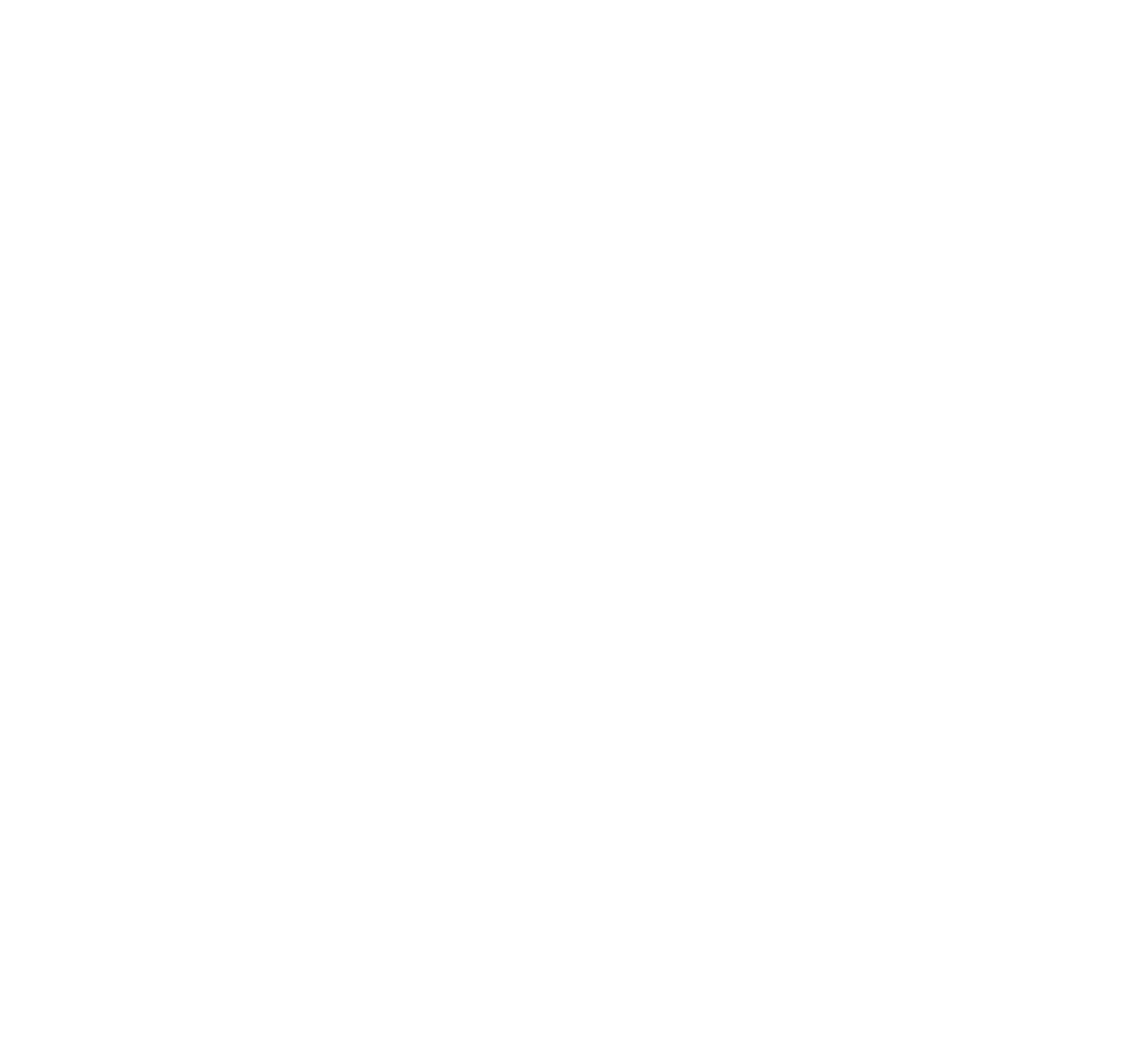 New Private Markets logo