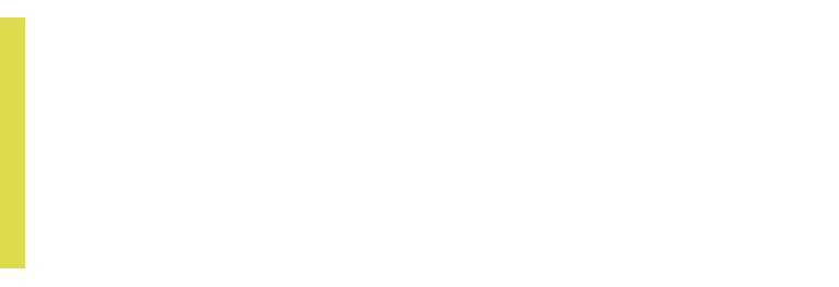 New Private Markets logo