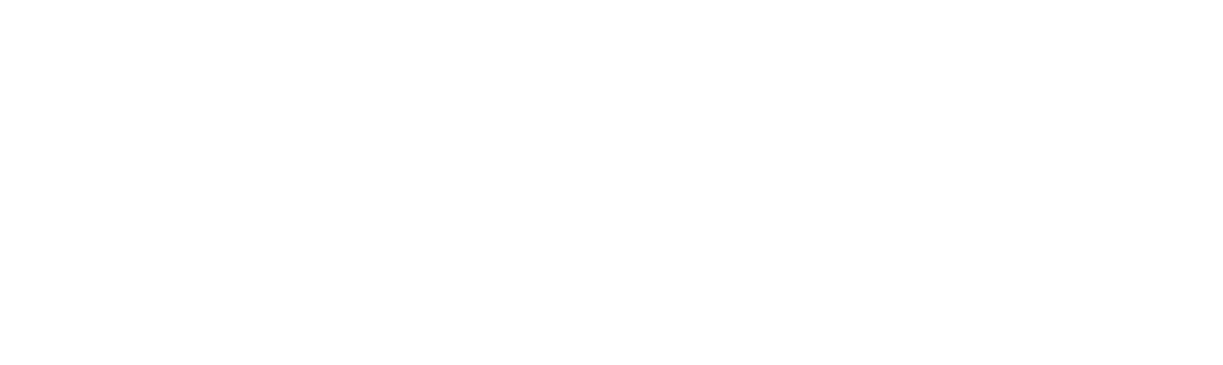 New Private Markets logo