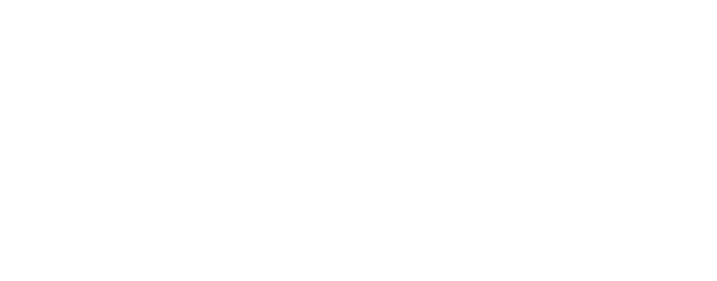 NDAA Compliant Logo and H.265 Logo