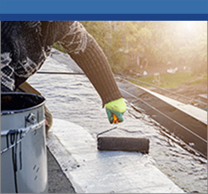 R.E. Carroll's application for its binders for the coatings market