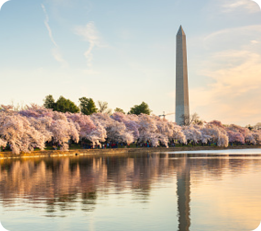 Explore Washington DC