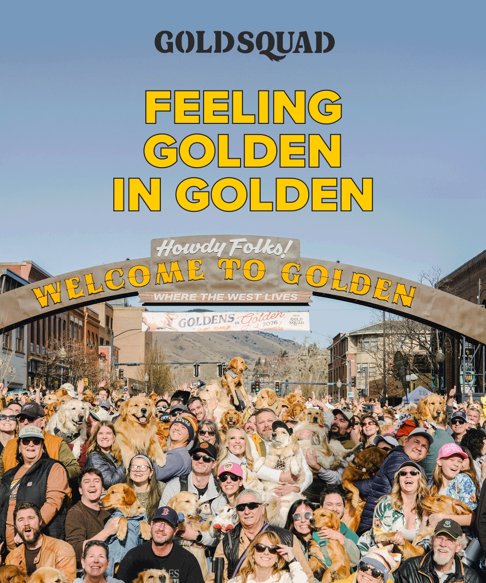 GOLDSQUAD | Feeling golden in Golden